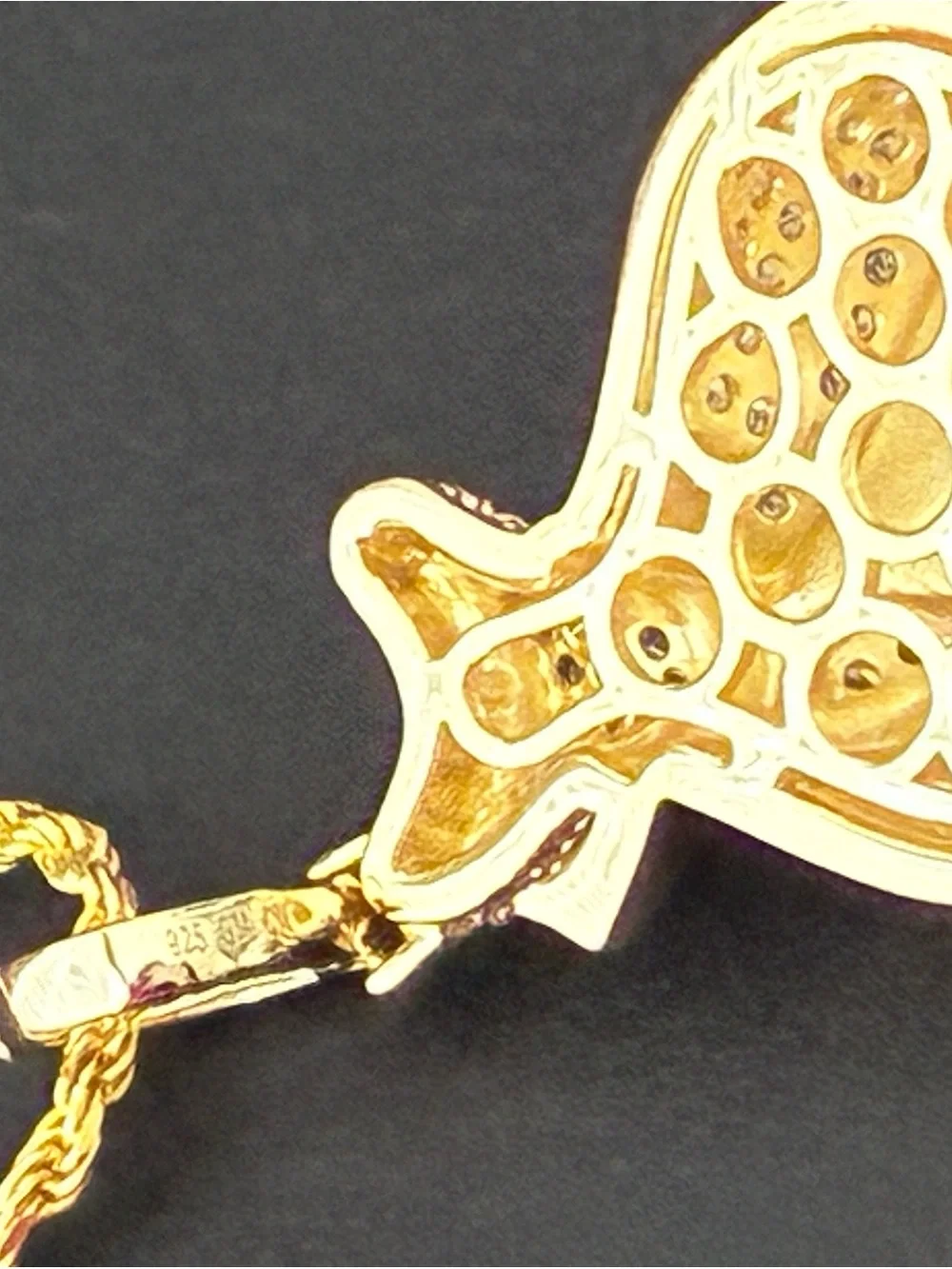 925 Sterling Silver money Pendant with Gold Tone Rope Chain
